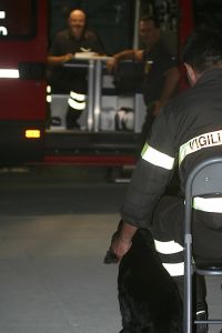img_2733