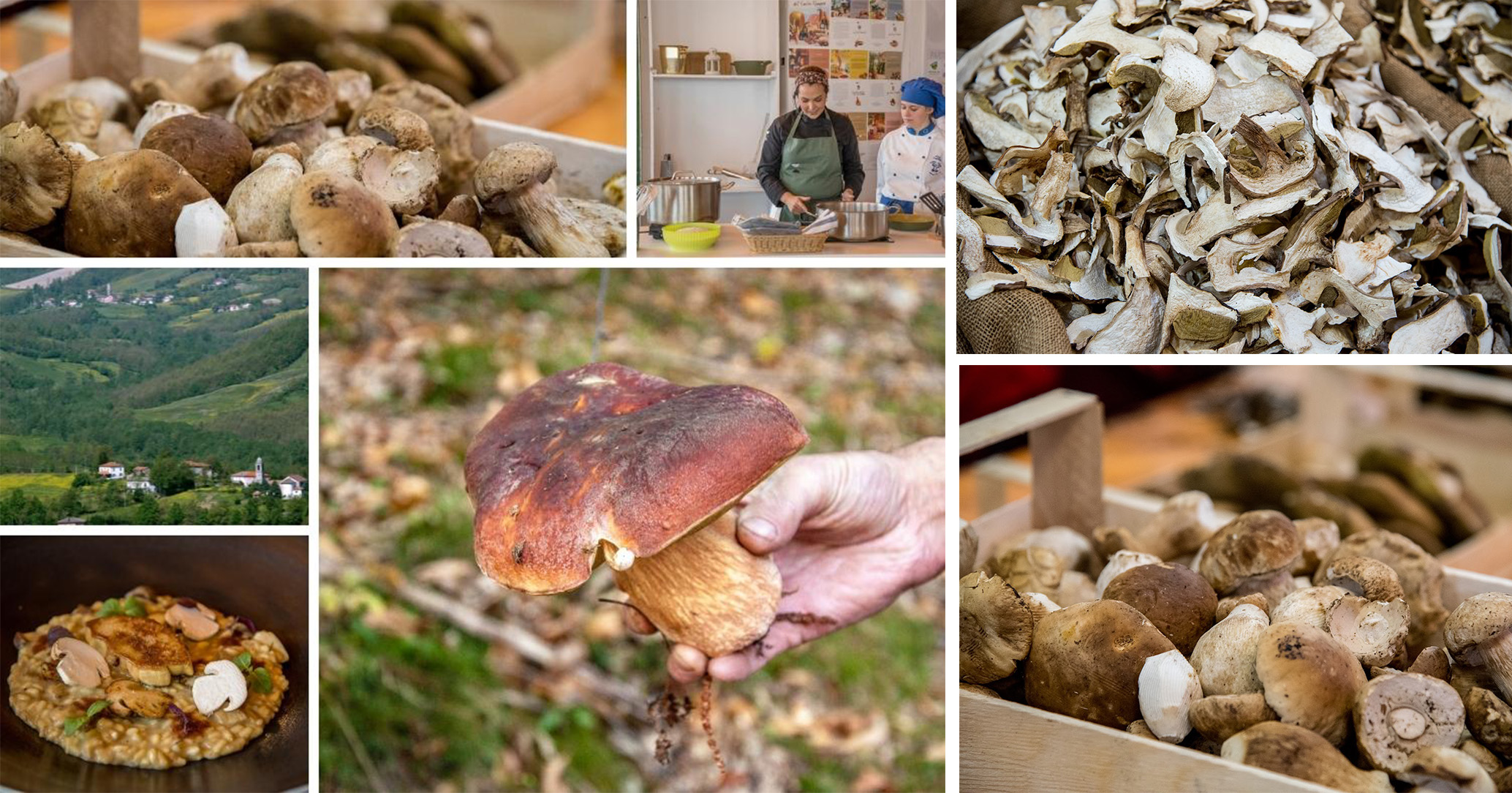 Albareto, l'Appennino in festa col fungo porcino OglioPoNews