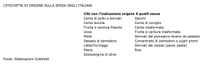 immagine-1