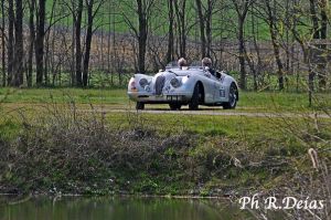 _Clarafond-Nolli-DRF_4316-3