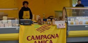 bancarella4