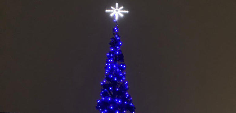 Albero Di Natale Con Foto Di Famiglia.Sedici Metri Di Altezza L Albero Di Natale Della Famiglia Calza Domina Via Albarone E Non Solo Oglioponews